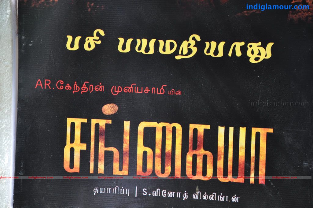 Sangayya Movie Launch Event hd photo