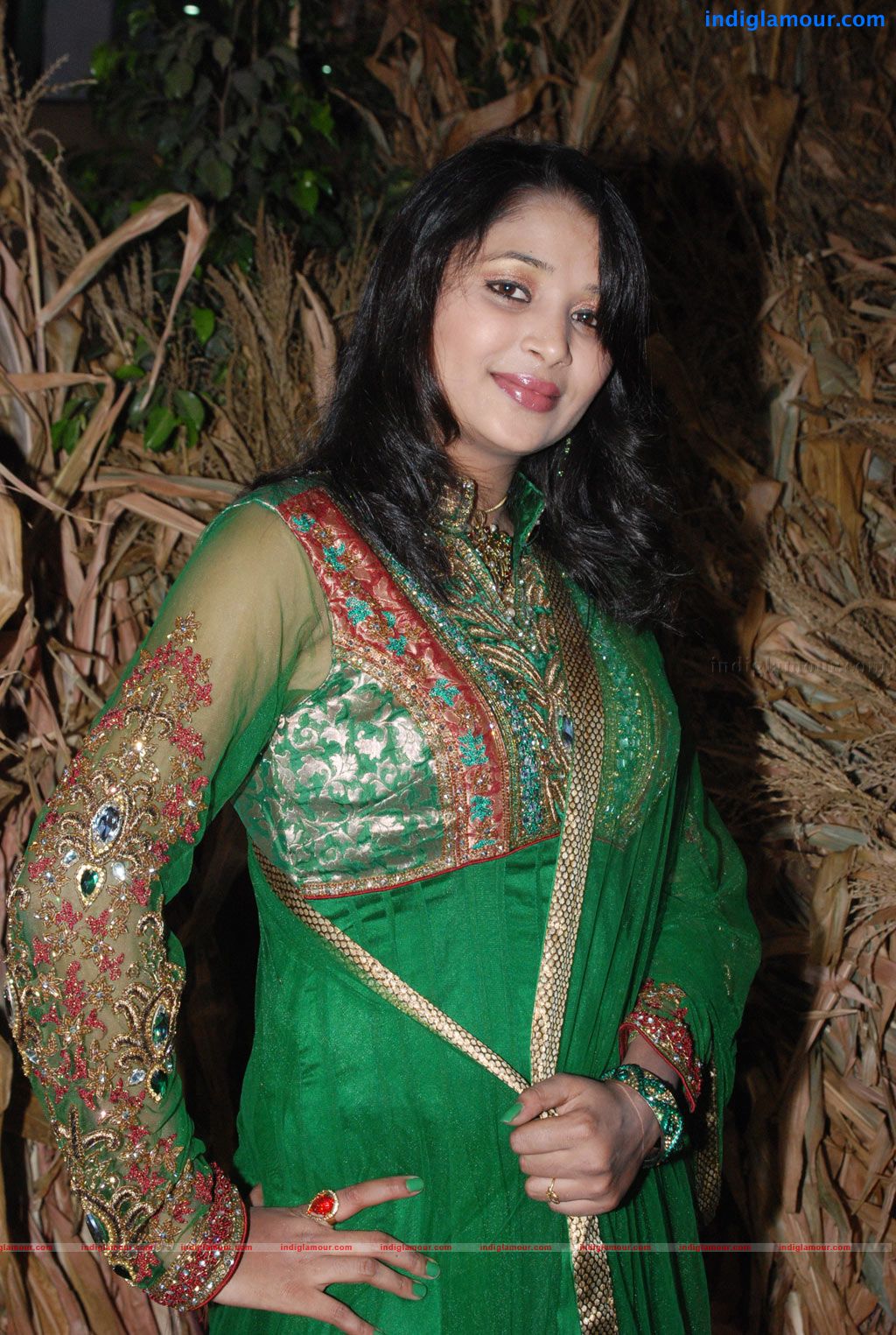 Ambuli Audio Launch Event hd photo