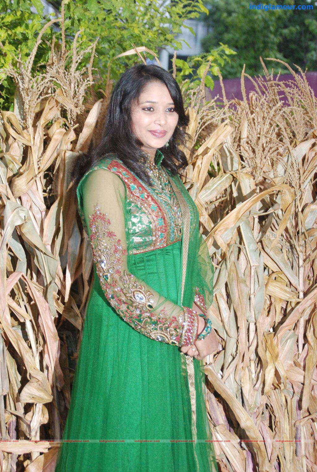 Ambuli Audio Launch Event hd photo