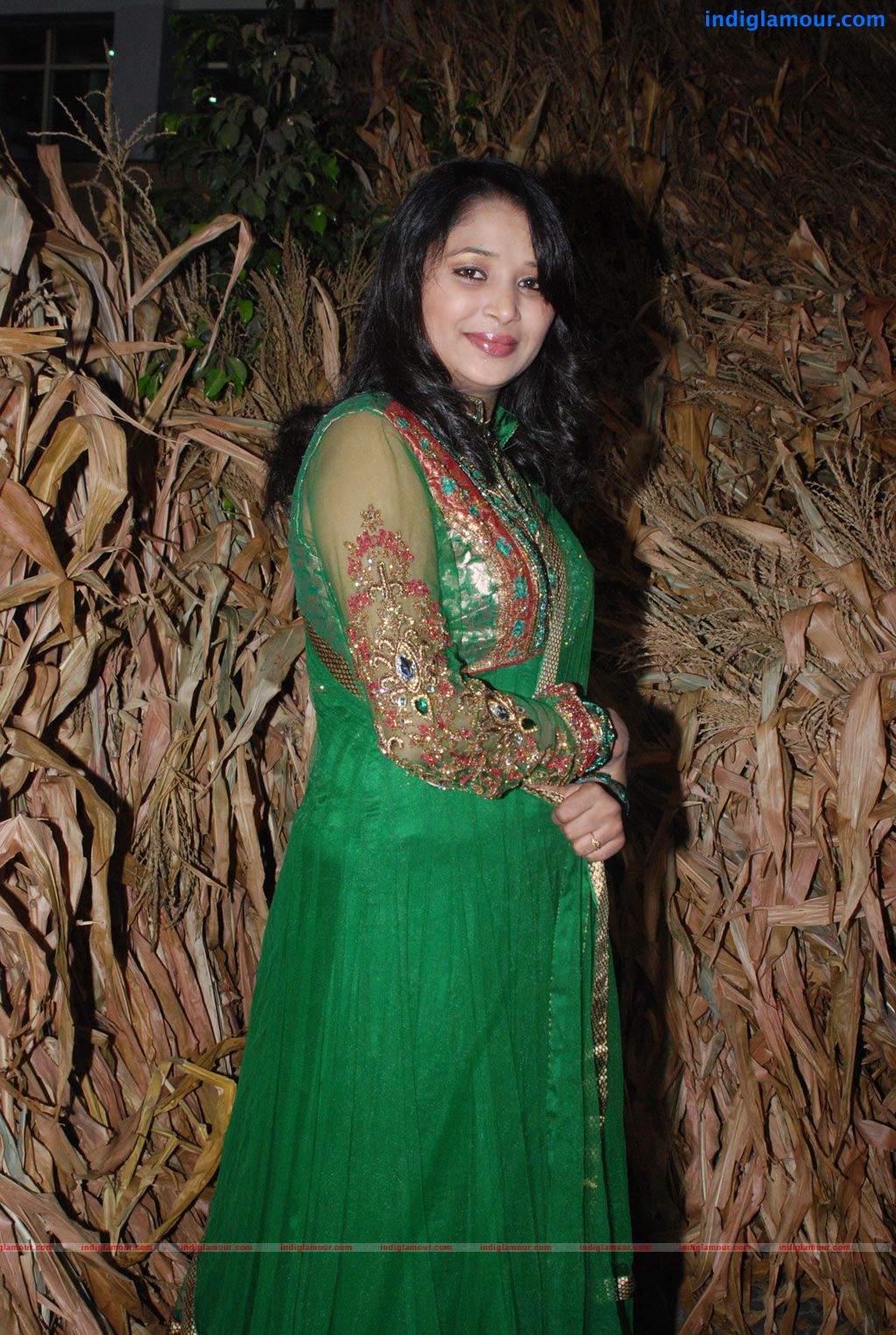 Ambuli Audio Launch Event hd photo
