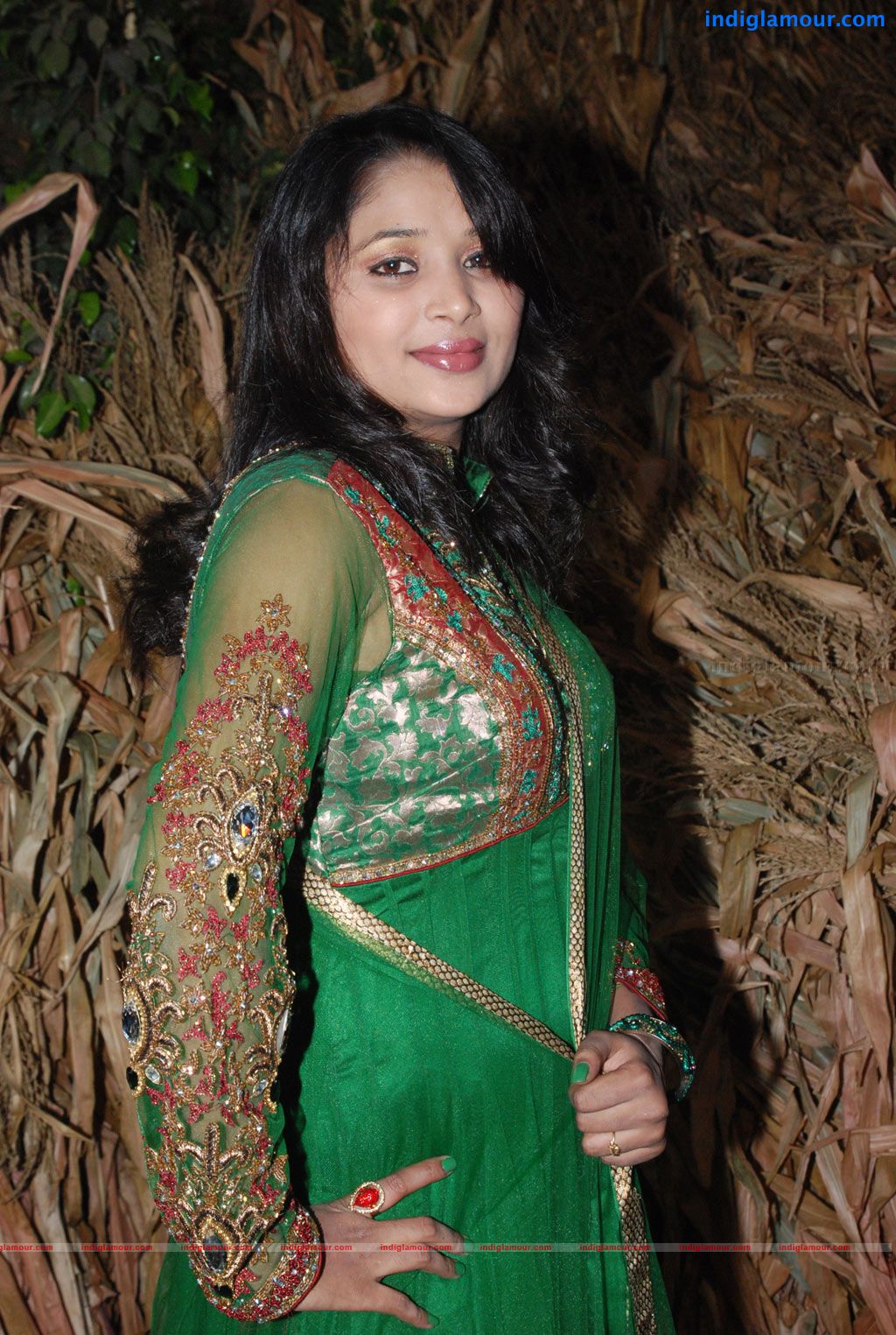 Ambuli Audio Launch Event hd photo