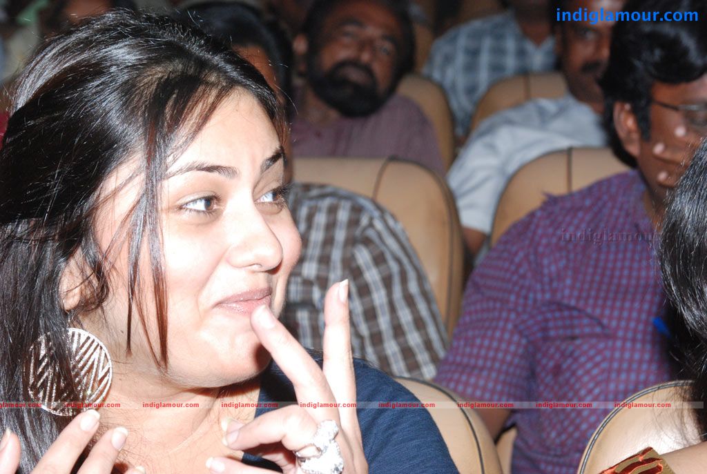 Ambuli Audio Launch Event hd photo