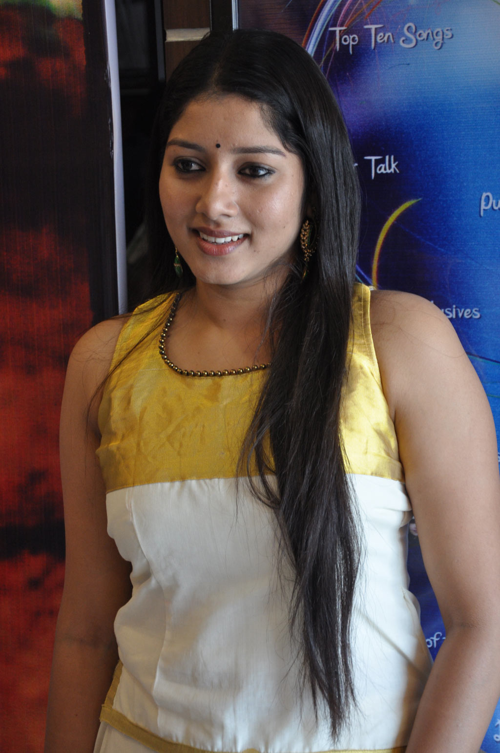 Sooran Audio Launch Event hd photo