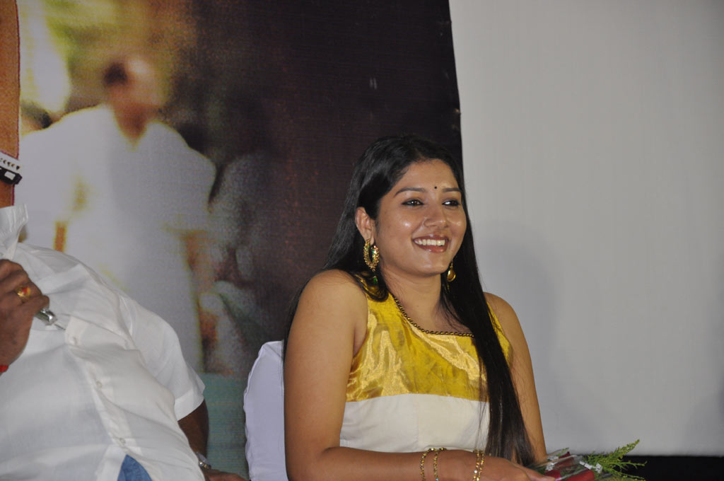 Sooran Audio Launch Event hd photo