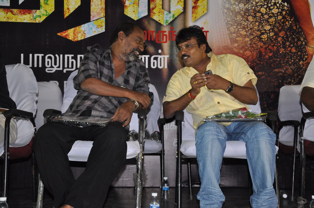 Sooran Audio Launch Event hd photo