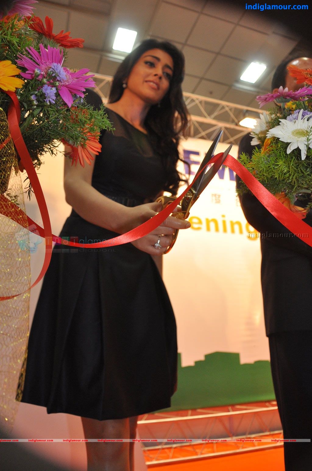 Shriya at EMMA Expo India 2011 Opening Ceremony Event hd photo