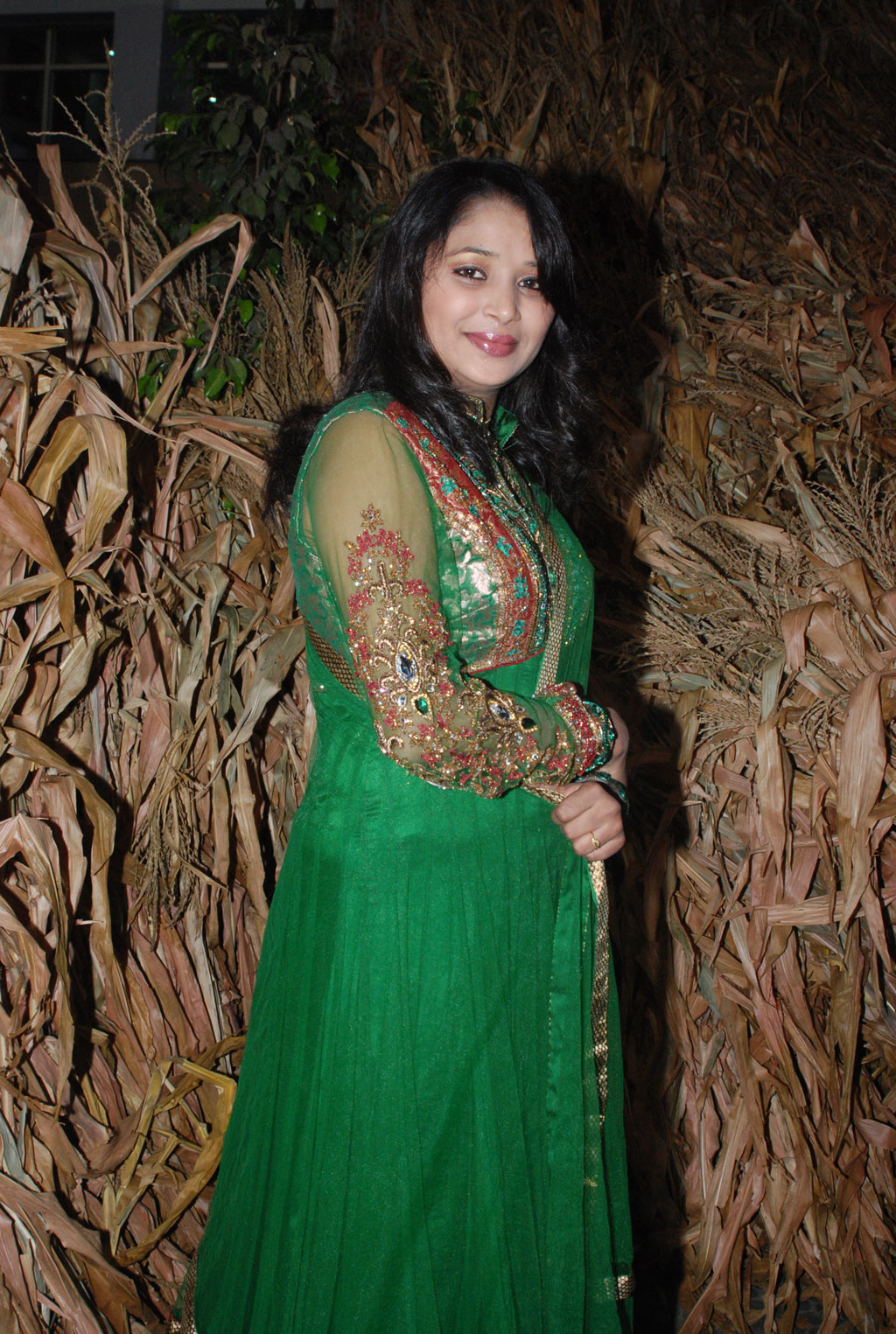 Ambuli Audio Launch Event hd photo