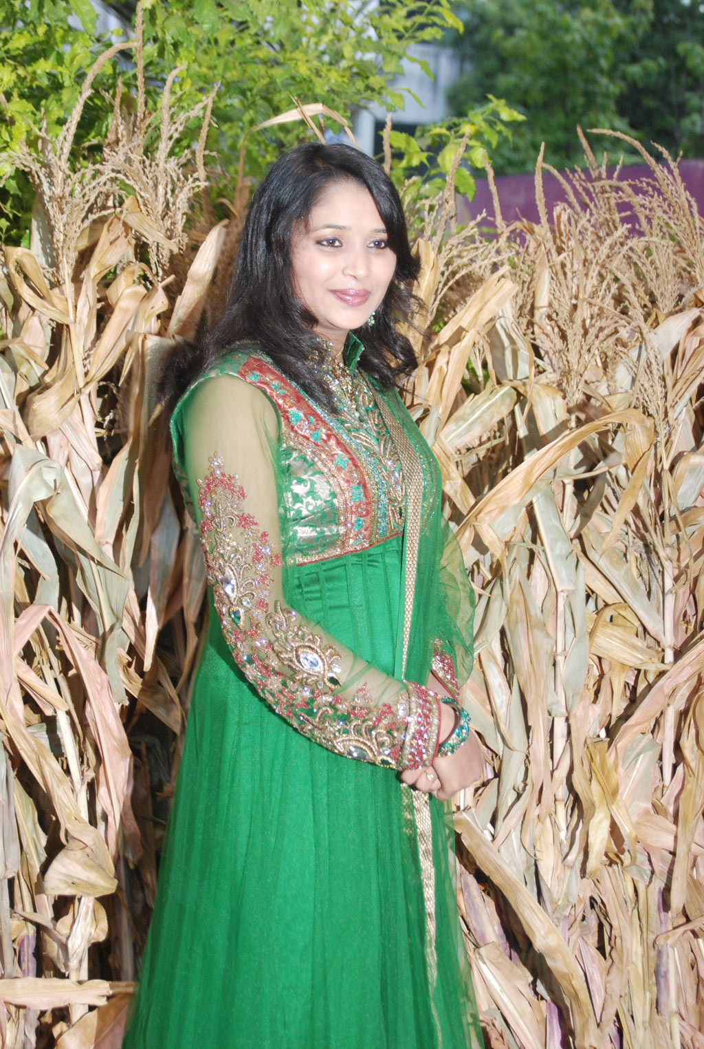 Ambuli Audio Launch Event hd photo