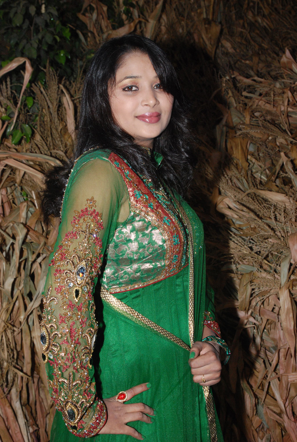 Ambuli Audio Launch Event hd photo