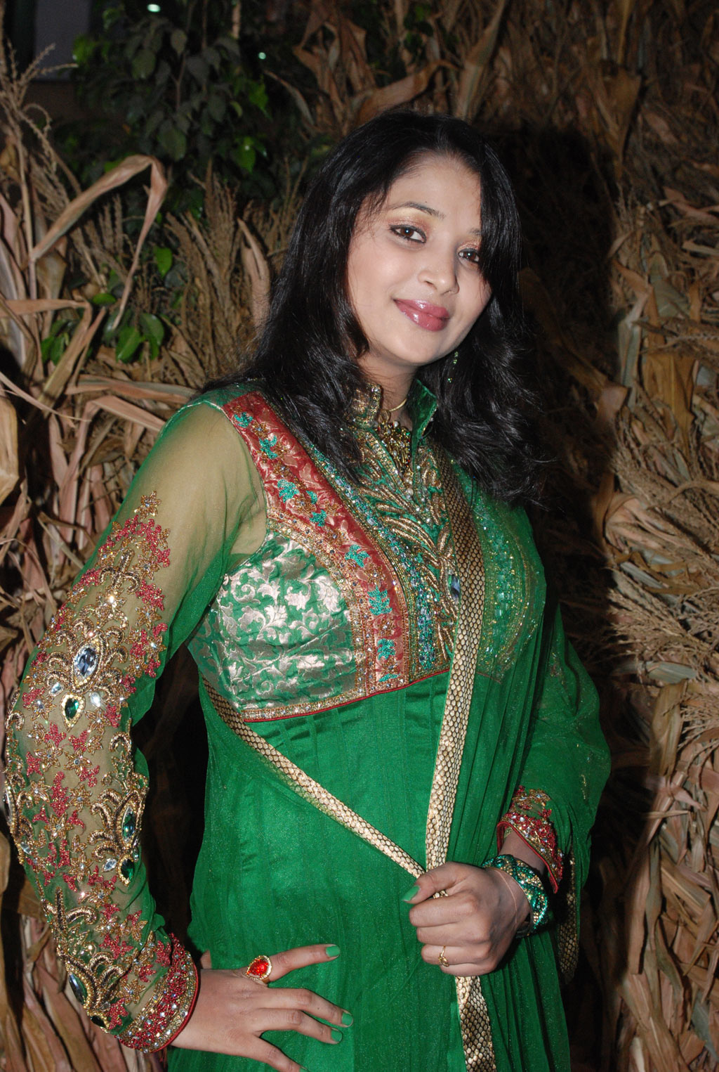 Ambuli Audio Launch Event hd photo