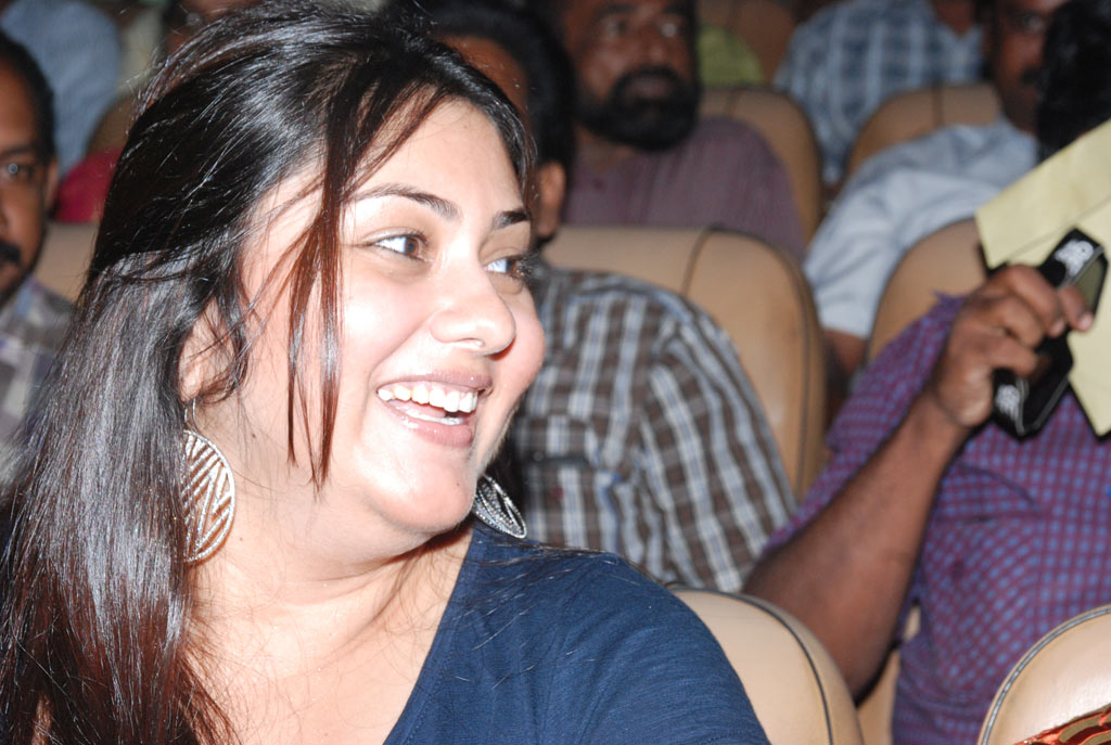 Ambuli Audio Launch Event hd photo