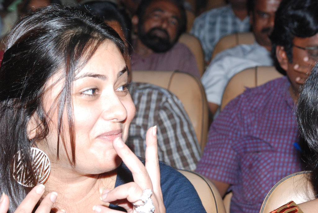 Ambuli Audio Launch Event hd photo
