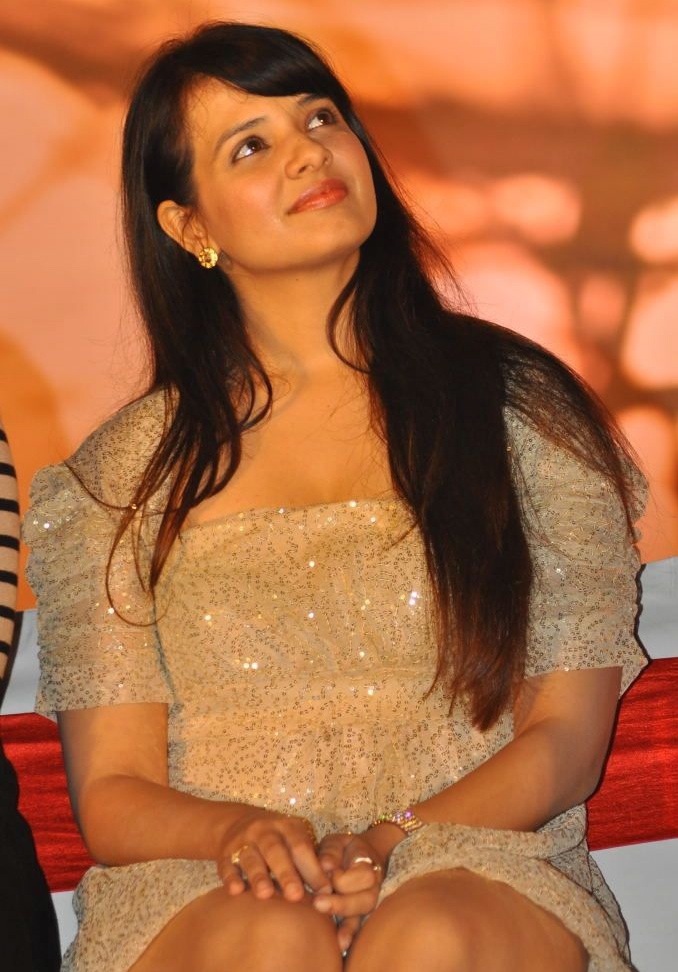 Veedinthe Movie Audio Launch Event hd photo