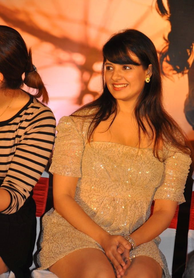 Veedinthe Movie Audio Launch Event hd photo