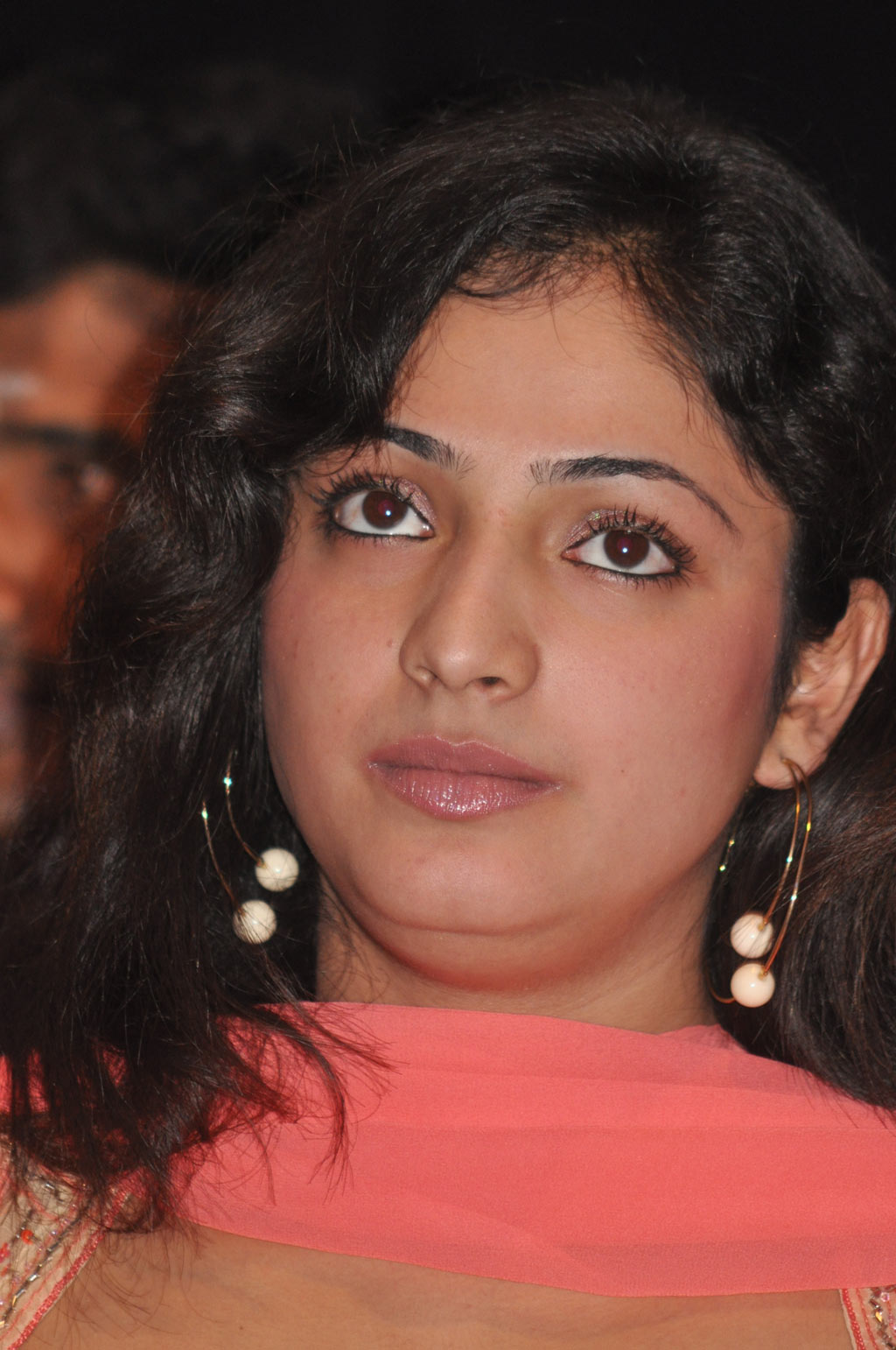 Thulli Ezhundhathu Kadhal Audio Launch Event hd photo