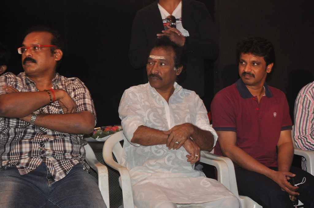 Thulli Ezhundhathu Kadhal Audio Launch Event hd photo