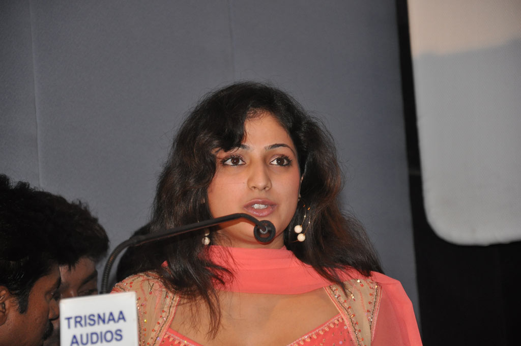 Thulli Ezhundhathu Kadhal Audio Launch Event hd photo