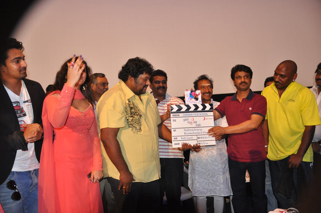 Thulli Ezhundhathu Kadhal Audio Launch Event hd photo