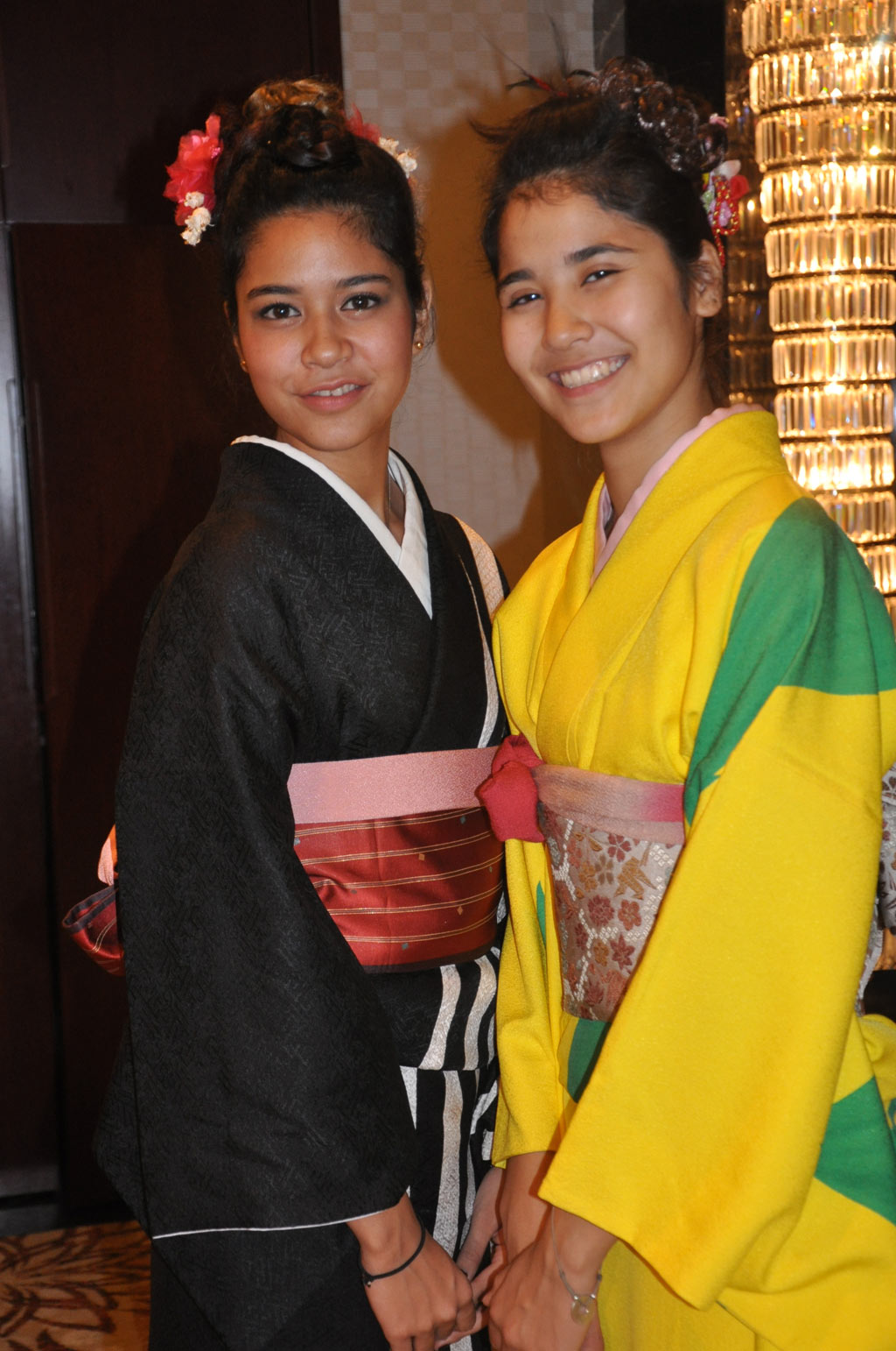 Indo Japan Cultural Relations Event hd photo