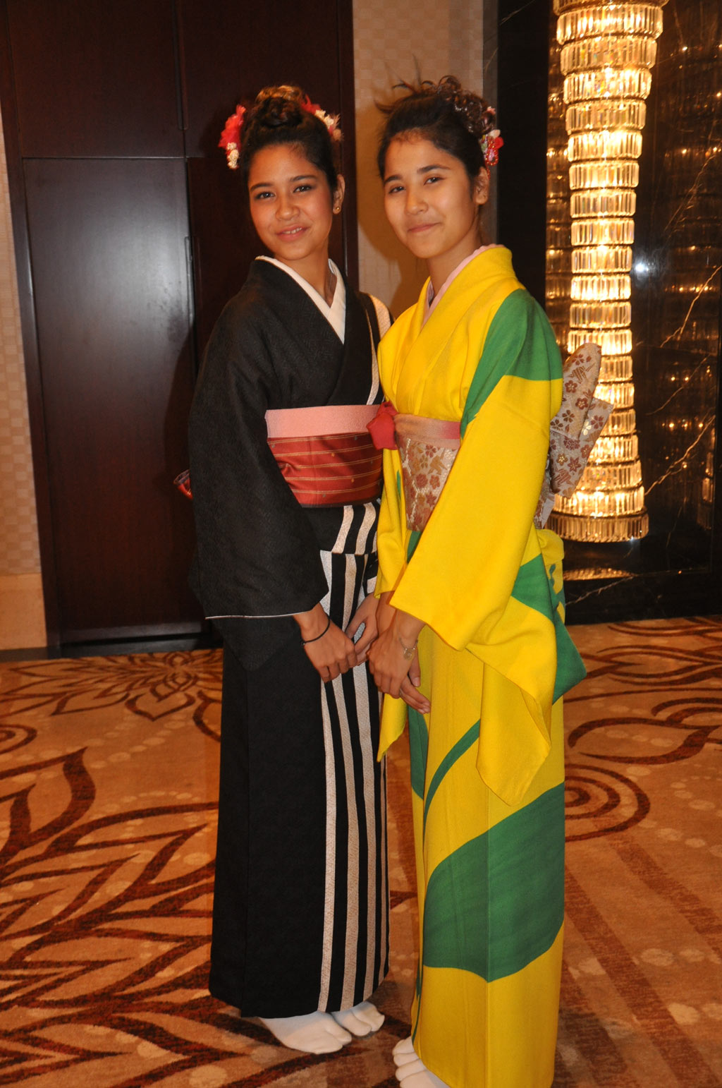 Indo Japan Cultural Relations Event hd photo