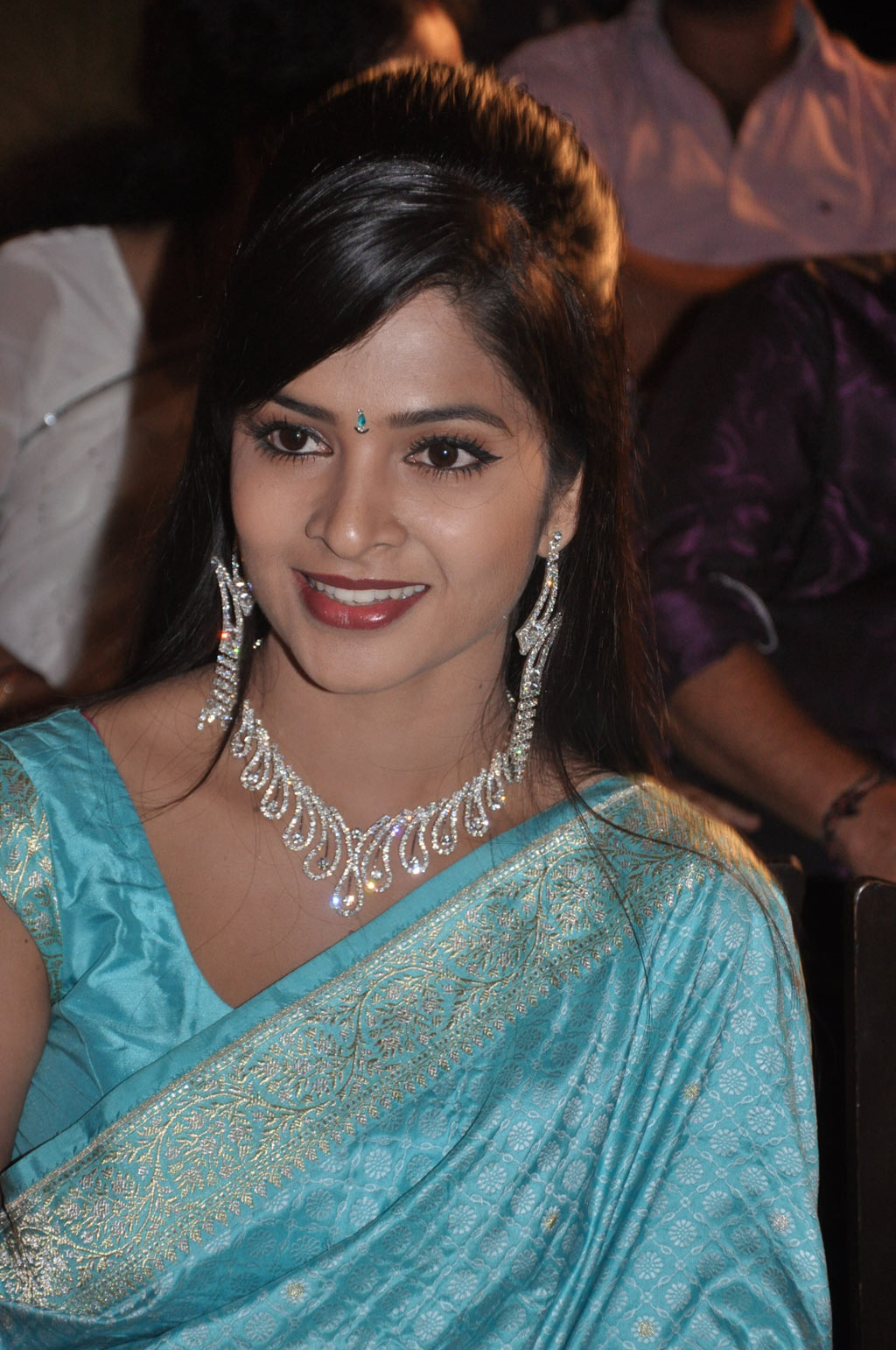 Viththagan Audio Launch Event hd photo