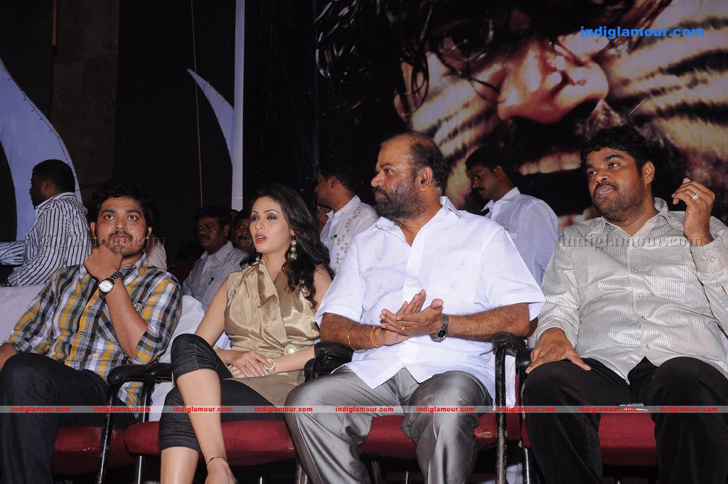 Puli Vesham Audio Launch Photos Event hd photo