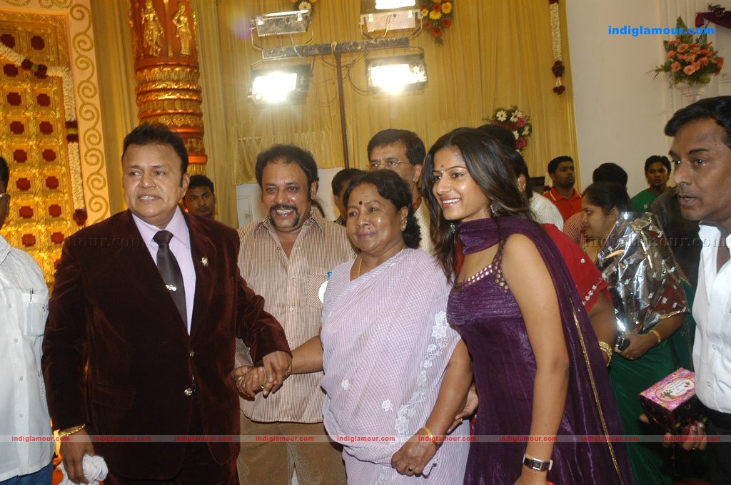 Actor Radharavi son wedding reception stills Event hd photo