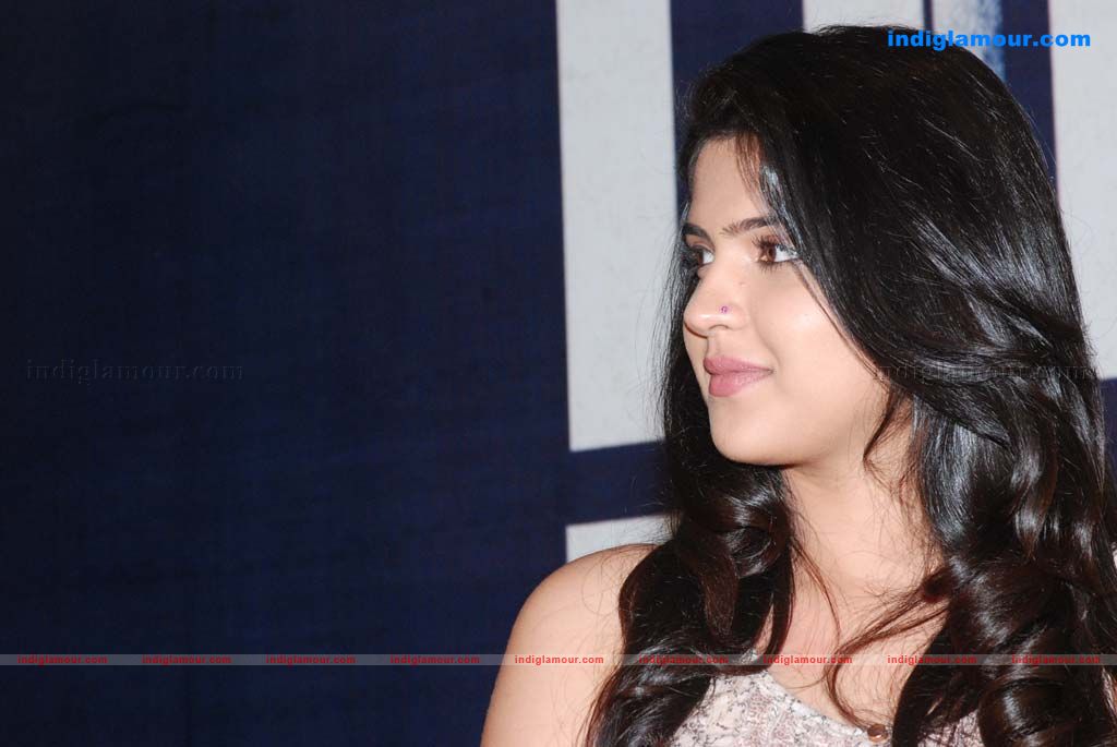 Raja Pattai Press Meet Photos Event hd photo