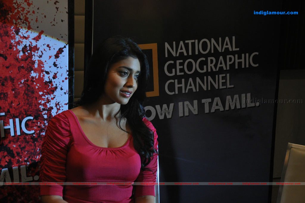 Shriya at National Geographic Tamil Channel Launch Launch Event hd photo