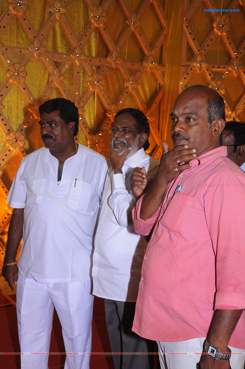 Aparna Pillai Marriage Reception Photos Event hd photo