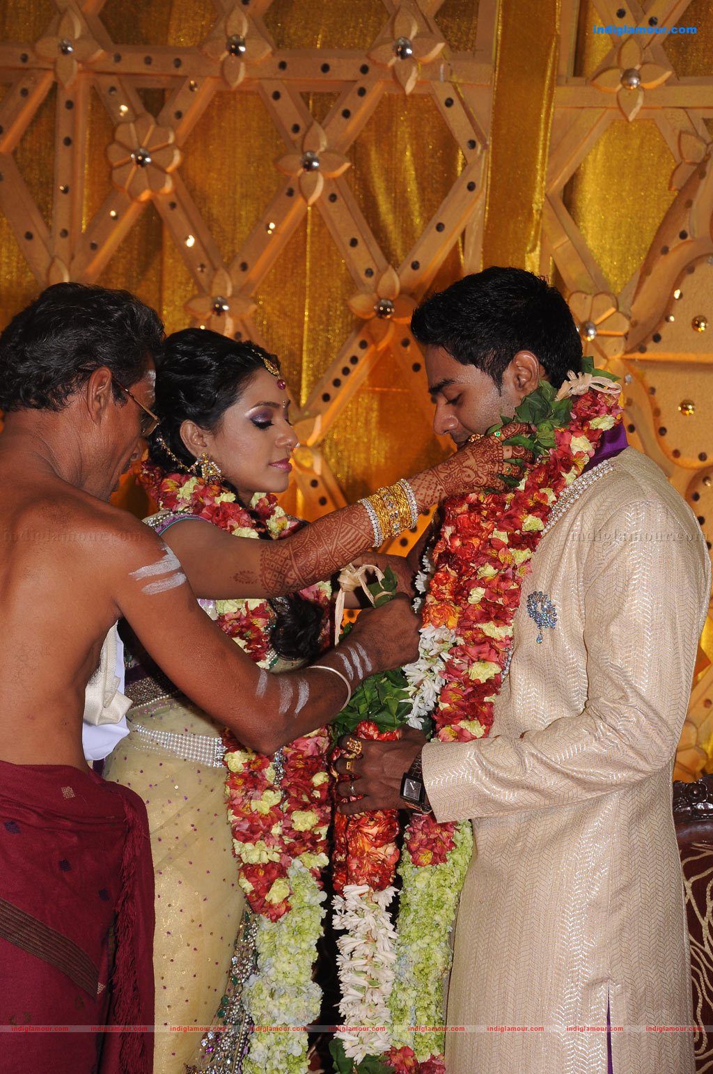 Aparna Pillai Marriage Reception Photos Event hd photo