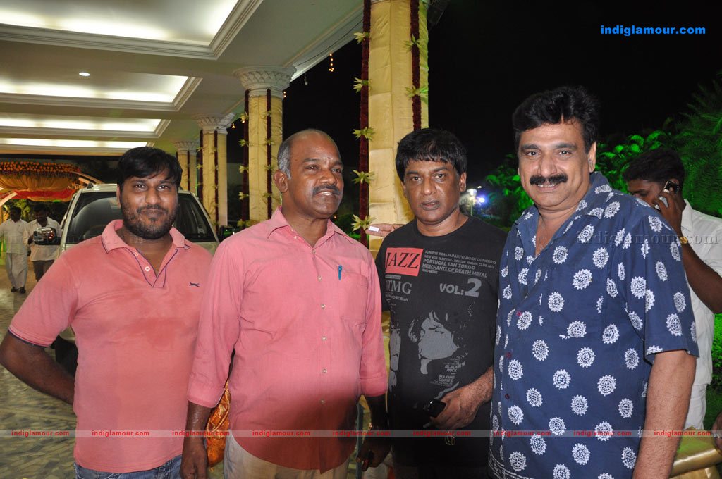 Aparna Pillai Marriage Reception Photos Event hd photo