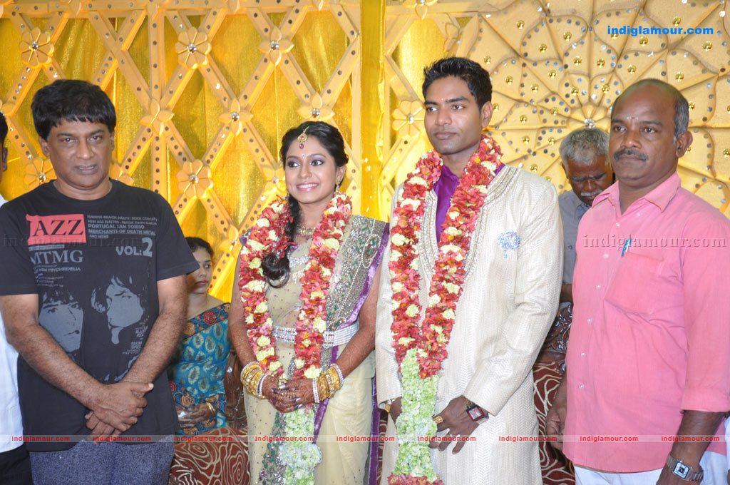 Aparna Pillai Marriage Reception Photos Event hd photo