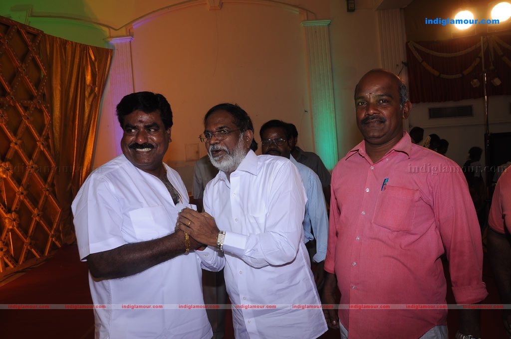 Aparna Pillai Marriage Reception Photos Event hd photo