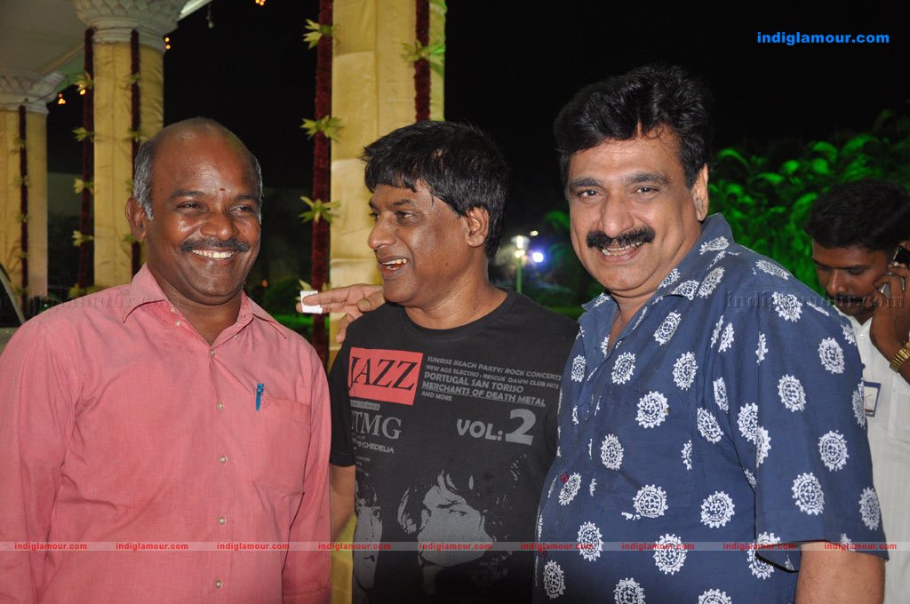 Aparna Pillai Marriage Reception Photos Event hd photo