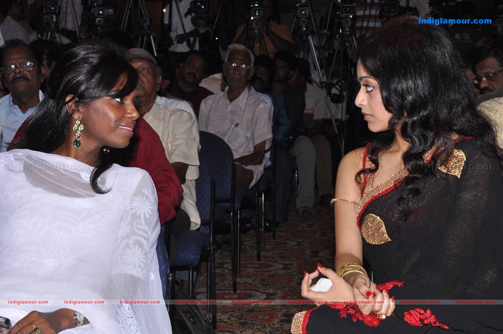 Avan Ivan Audio launch Event hd photo