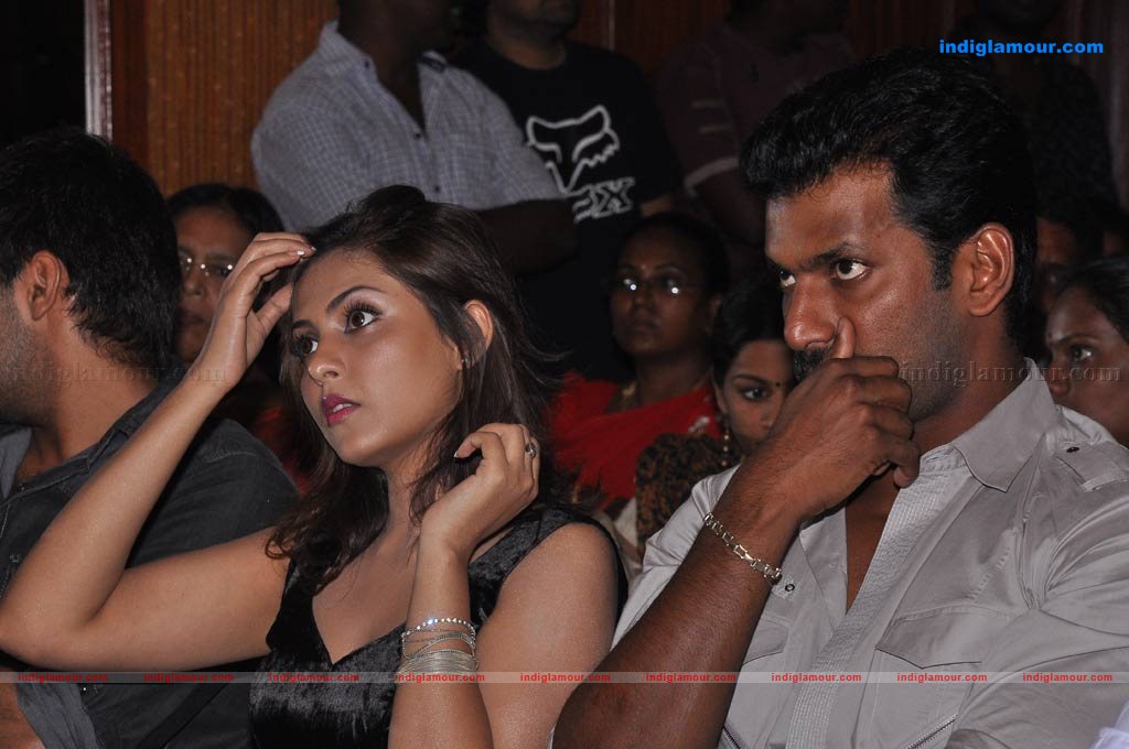 Avan Ivan Audio launch Event hd photo