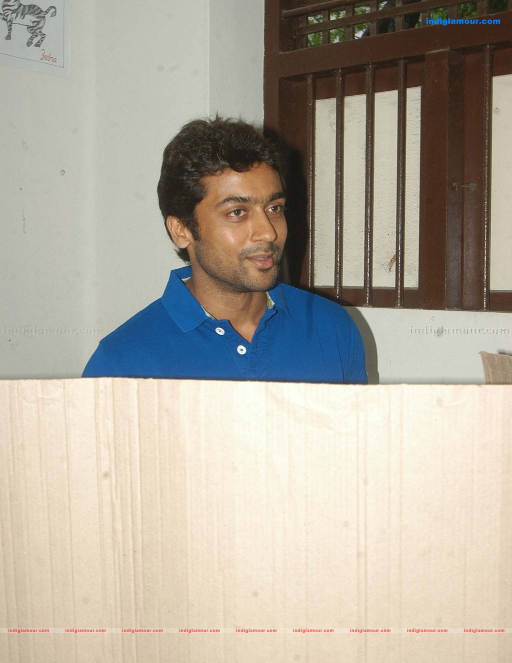  Celebrities Vote Event hd photo