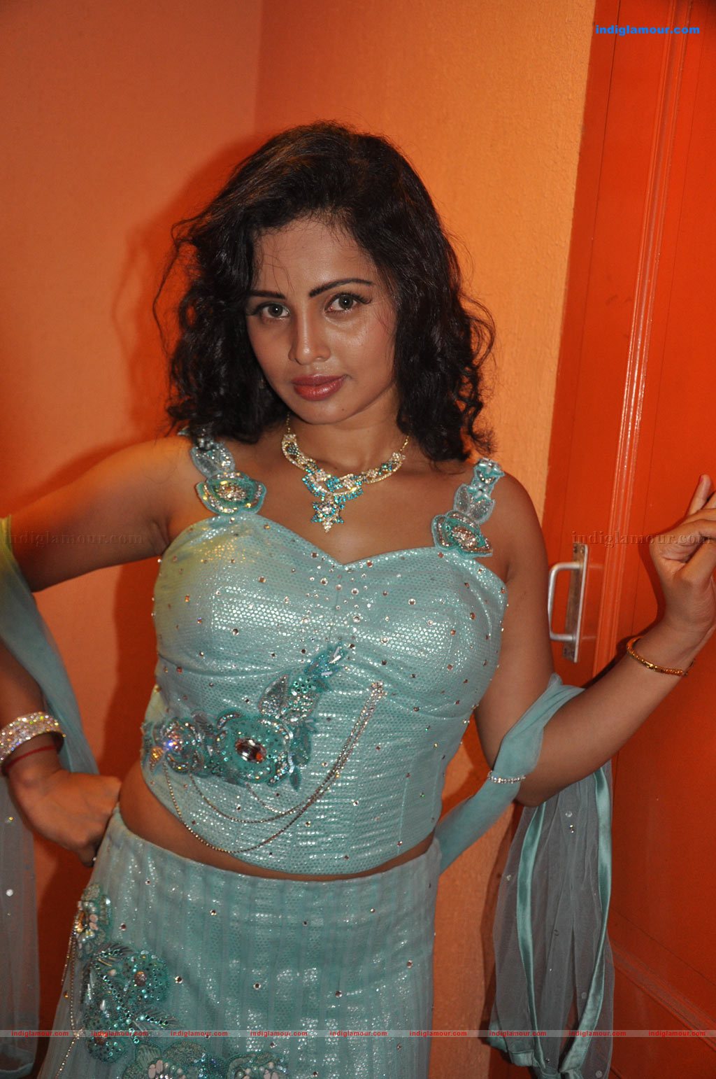 Shankar Audio Launch Photos Event hd photo