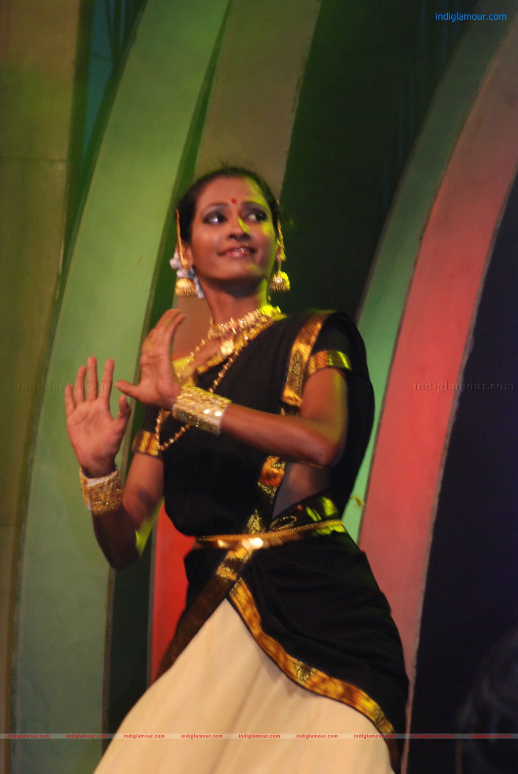 Raj TV Mudhalvan Awards 2012 Event hd photo