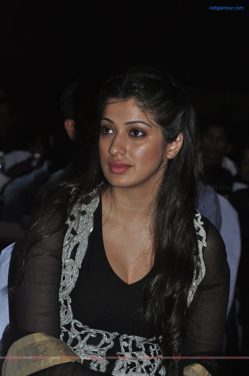 Thandavam Audio Release Event hd photo