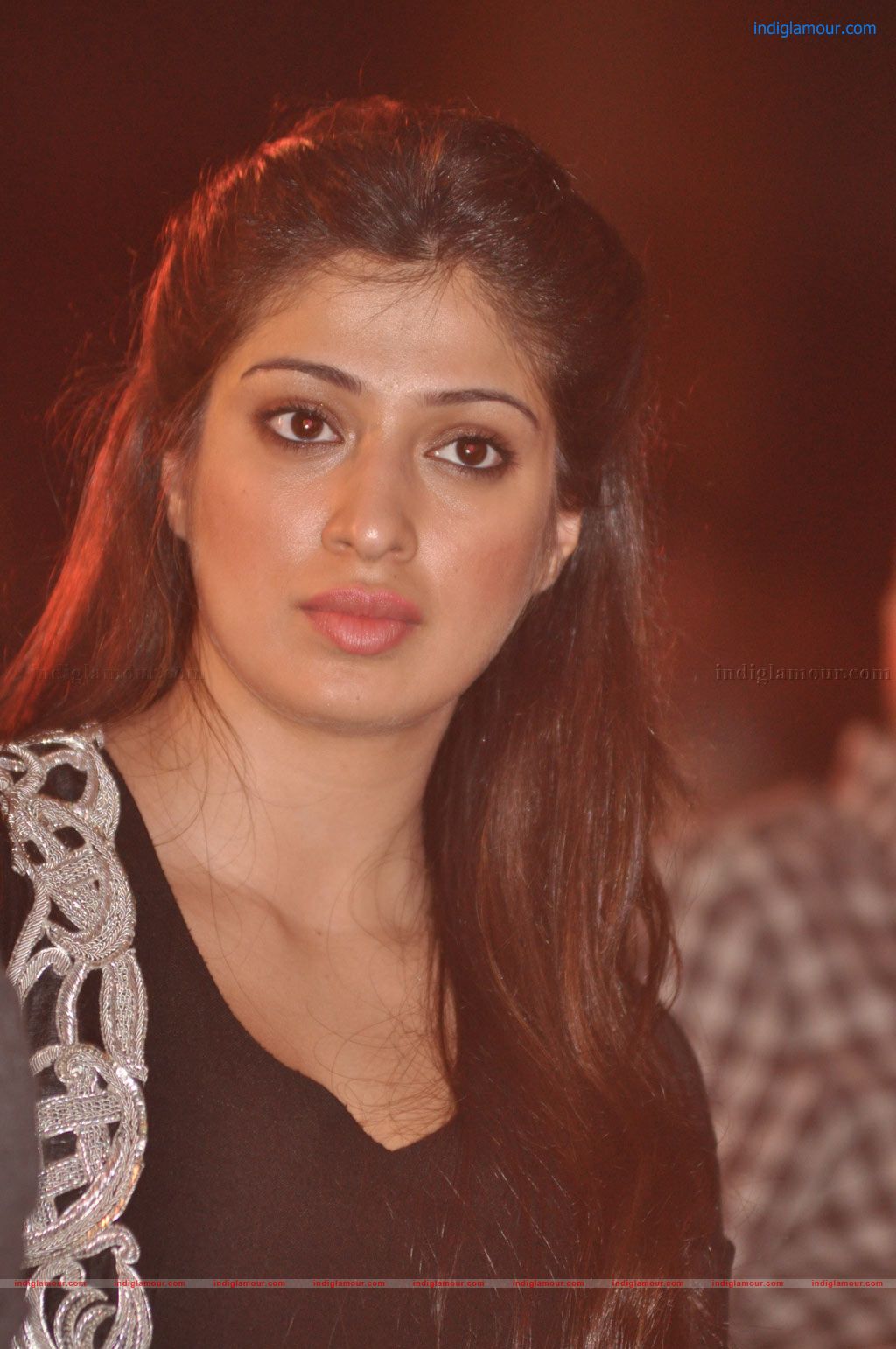 Thandavam Audio Release Event hd photo
