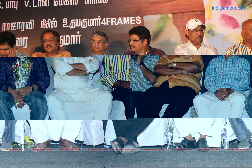 Charulatha Audio Launch Stills Event hd photo