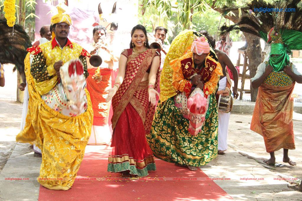 Sundarapandian Movie Audio Launch Event hd photo