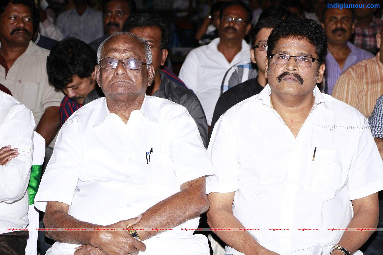 Vishwaroopam Movie Audio Launch Event hd photo