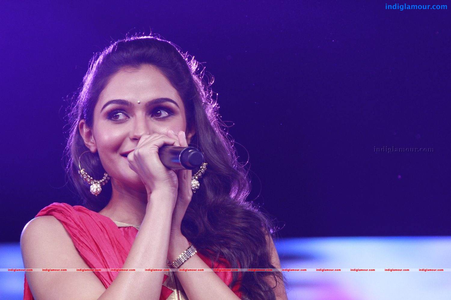 Vishwaroopam Movie Audio Launch Event hd photo