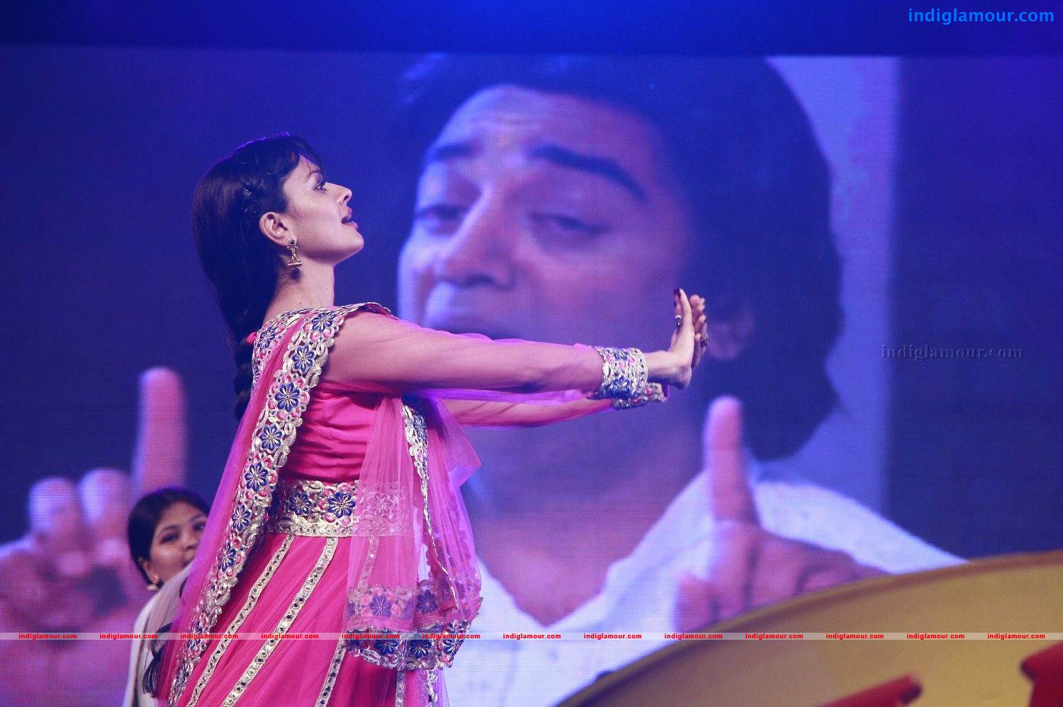 Vishwaroopam Movie Audio Launch Event hd photo