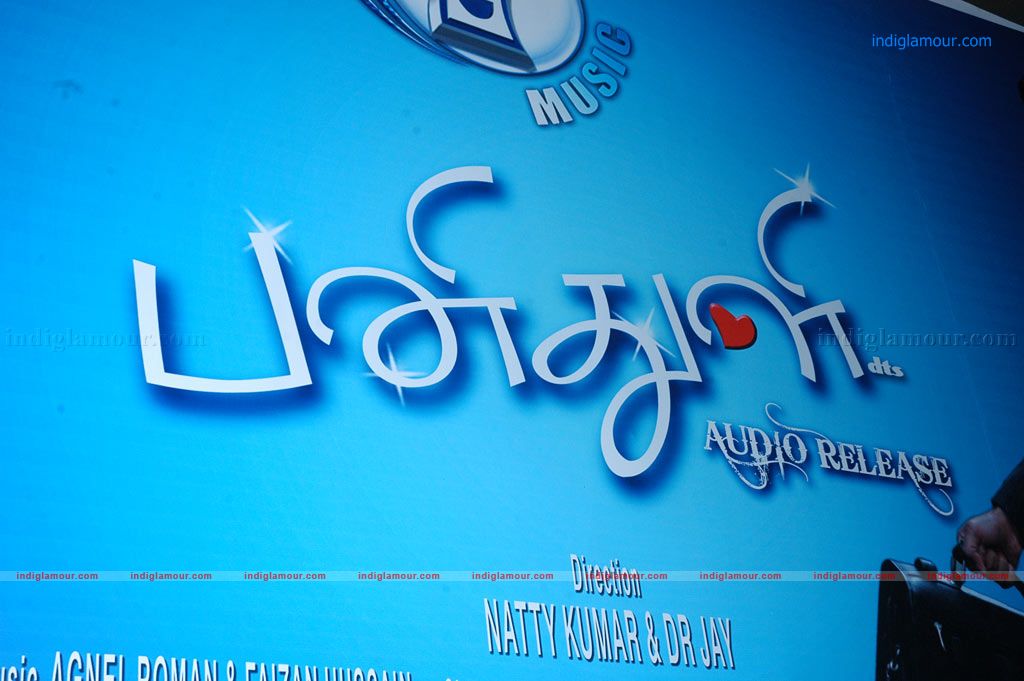 Pani Thuli Pani Thuli Audio Launch Event hd photo