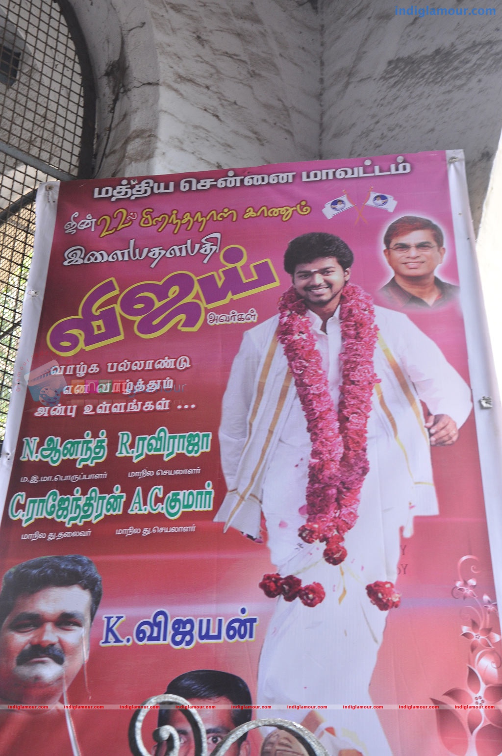 Vijay Birthday Celebration Stills Event hd photo