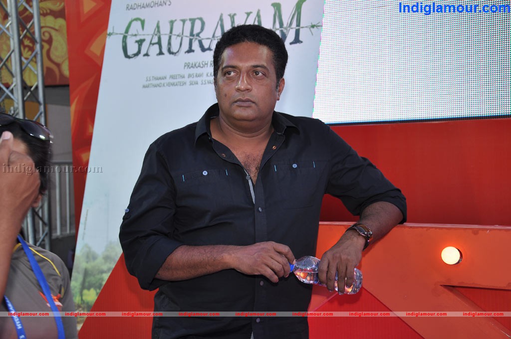 Gouravam Audio Launch at IPL Match Event hd photo
